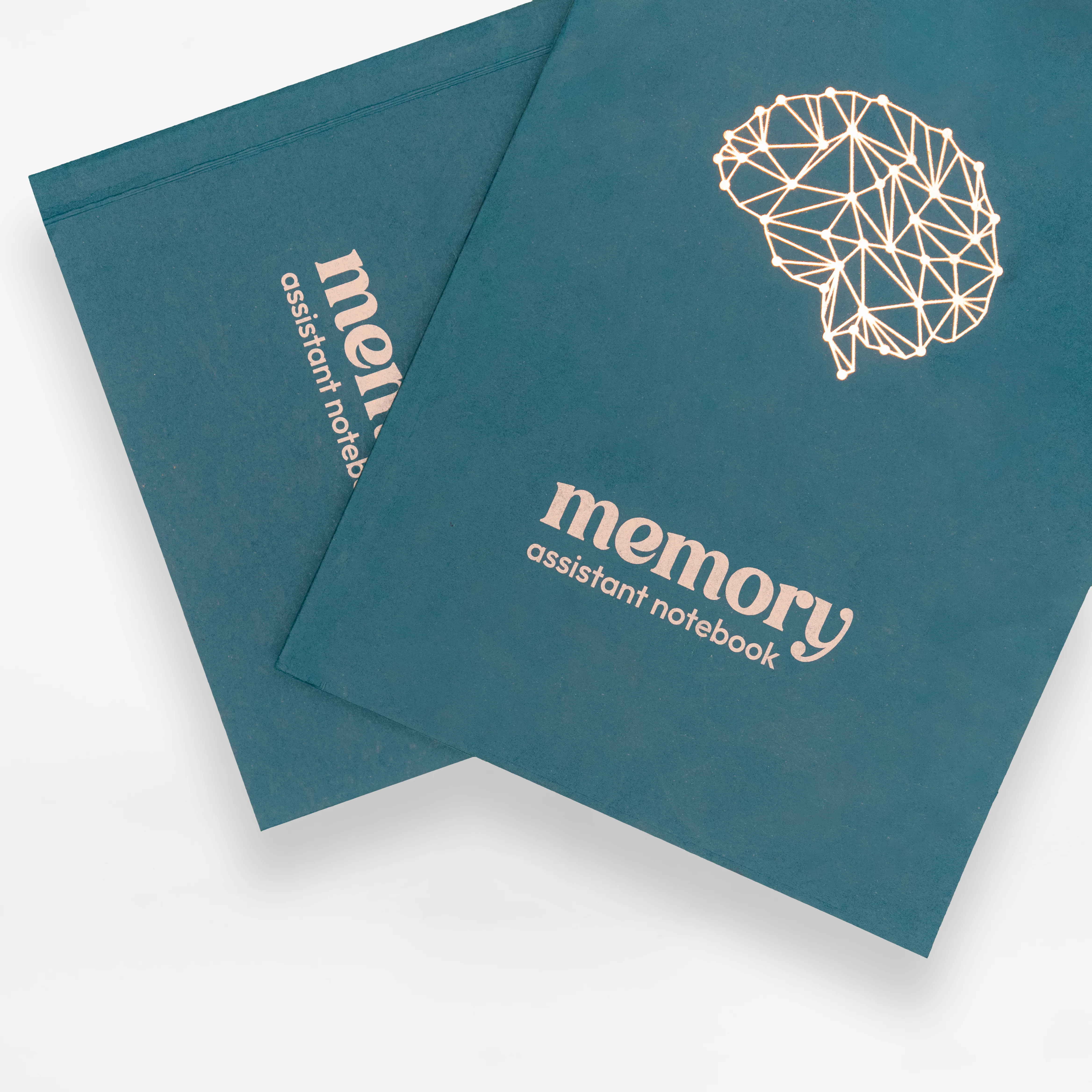Memory Assistant Notebook (Professional Edition) - Image 2