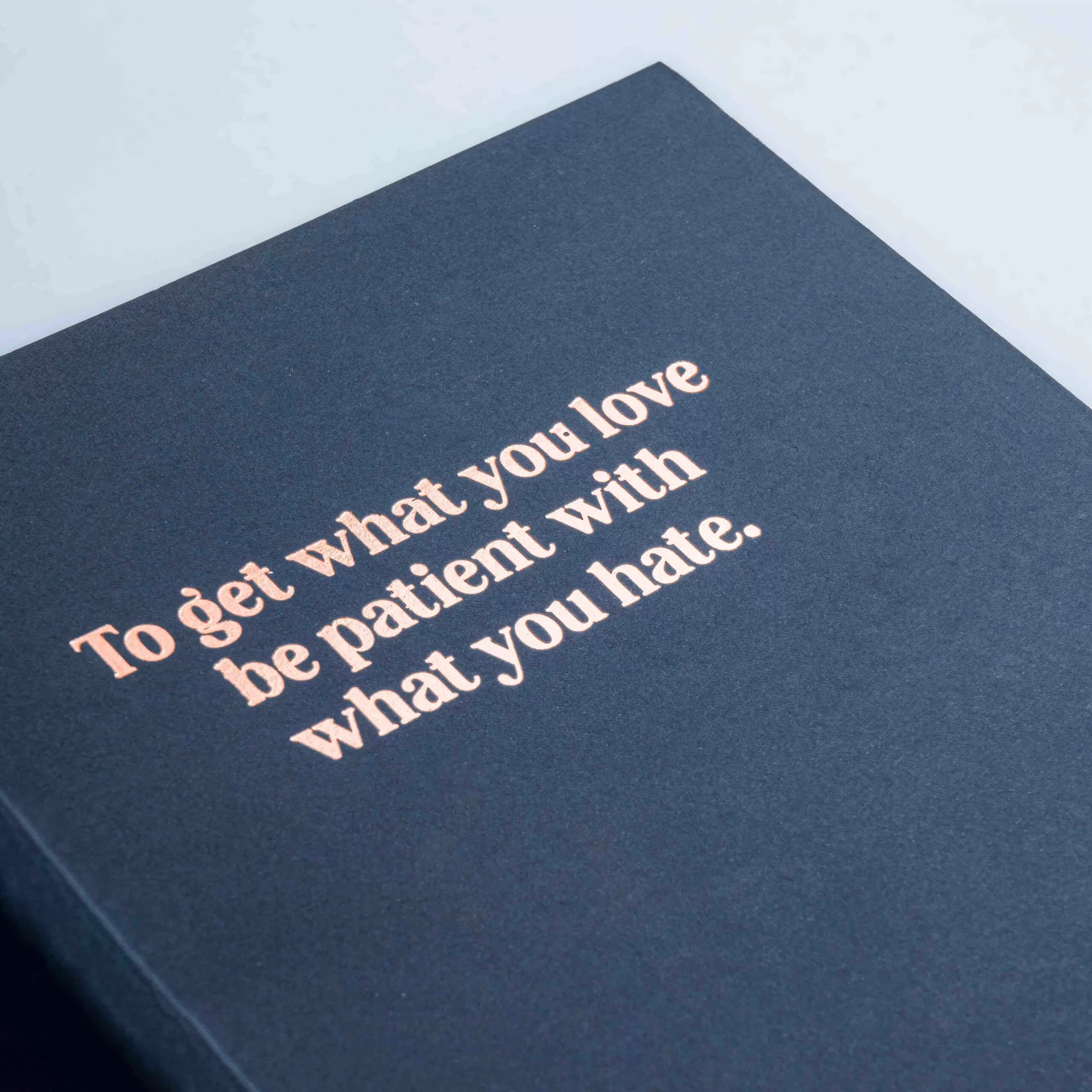 To Get What You Love, Be Patient With What You Hate Notebook - Image 3